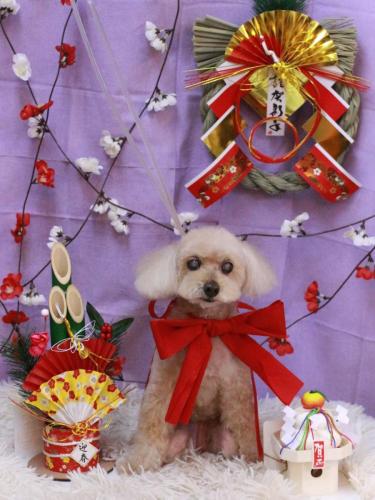 20230114桃果ちゃん